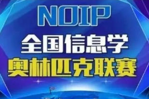 中小学生编程信息学奥赛高级班课程（含普及组提高组视频课）
